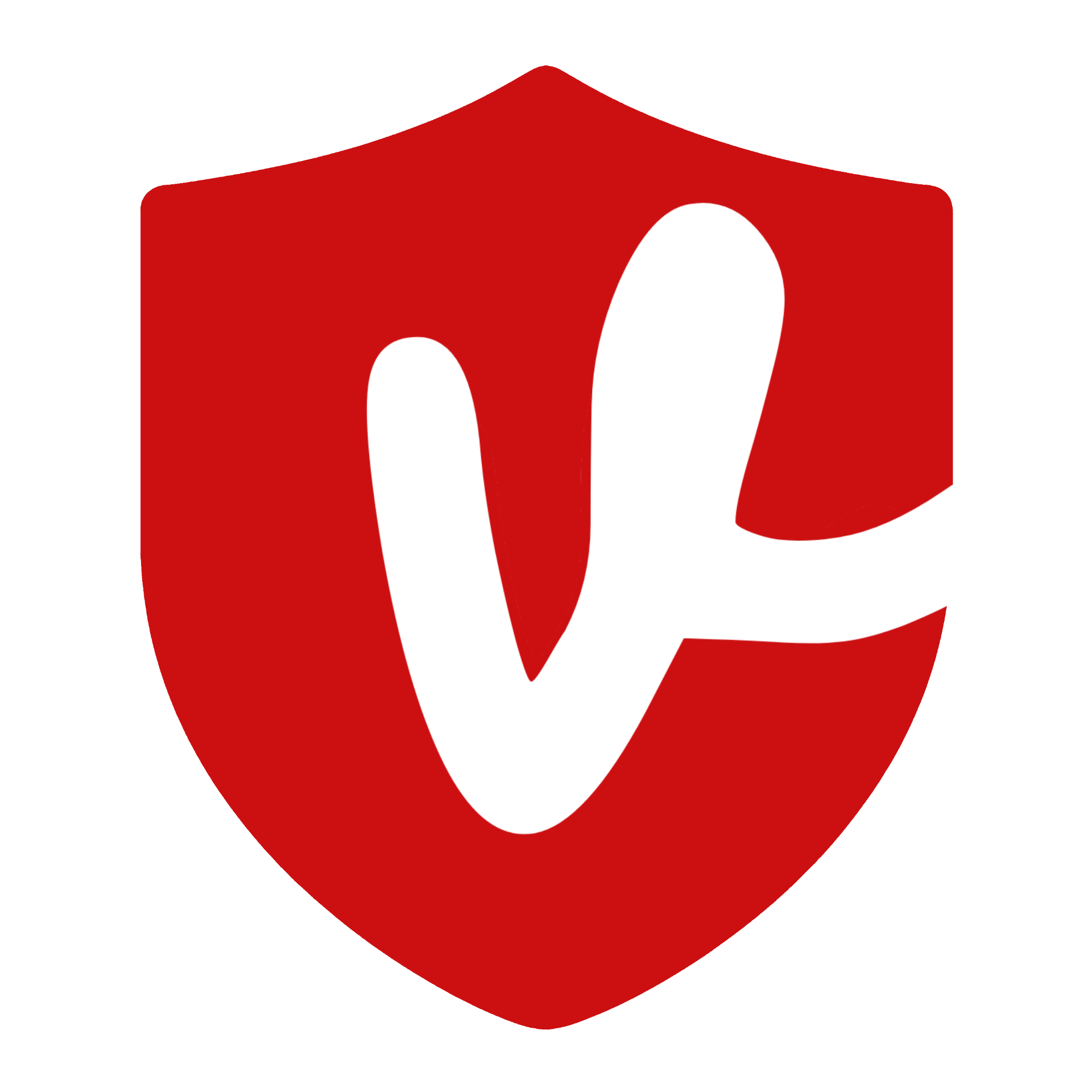 vAulth Shield Logo
